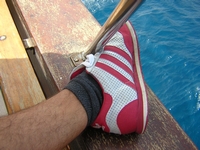 Tenerife 2005 2 85